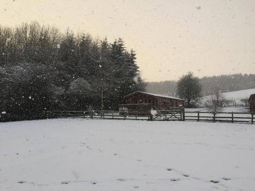 Long Mountain Centre Log Cabins - image 12