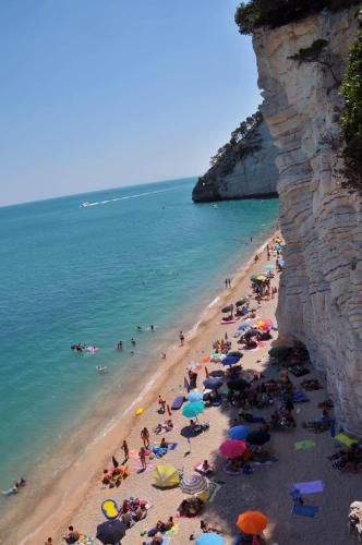 Camping Apartment Vignanotica