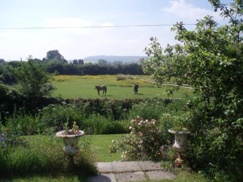 Lower Buckton Country House