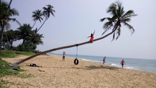 Green Villa Beach And Juice Bar