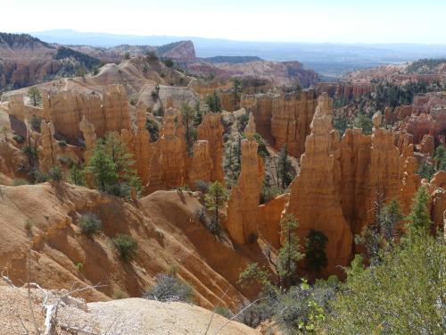 The Evergreen - image 9