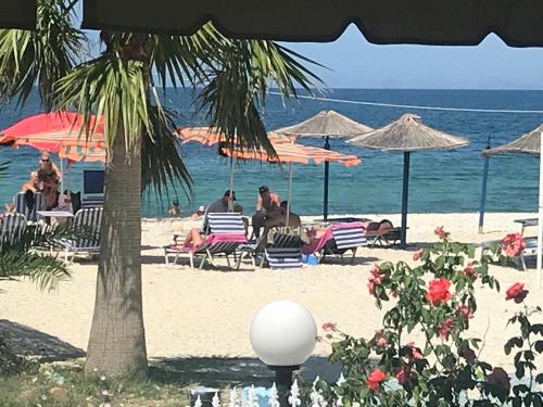 Hotel Alba-Gert