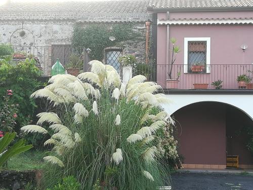 Etnante – Zafferana, CA