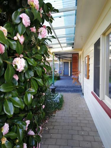 Wintersun Gardens Motel - Accommodation - Bicheno