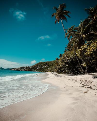 159670803 Bequia Beach Hotel - Luxury Boutique Resort