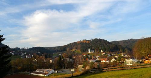 View, Ferienwohnung Werner in Warmensteinach