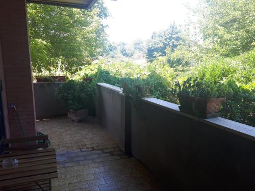 B&B Papa Leone Countryrooms - image 6