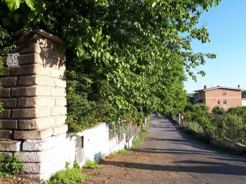 B&B Papa Leone Countryrooms - image 13