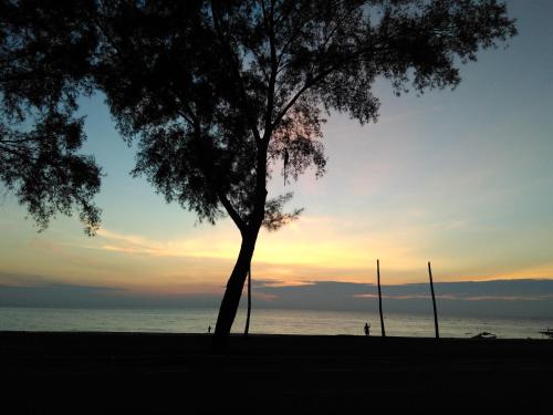Surrounding environment, Homestay Memori in Dungun