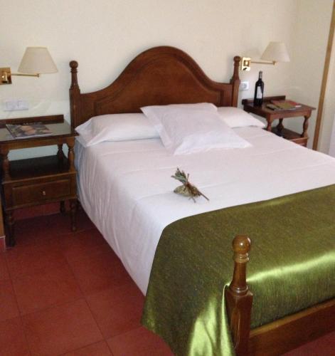 Accommodation in Elciego