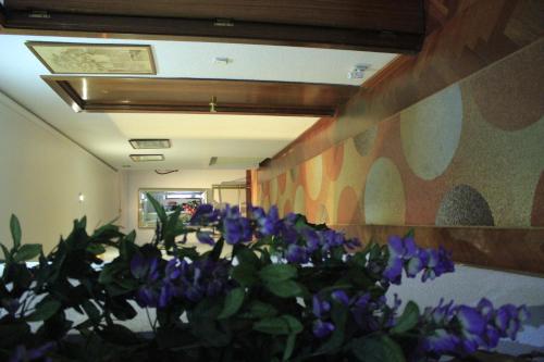 Hostal Esmeralda - image 12