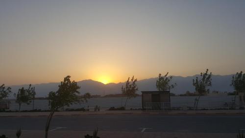 סויטה בלב המדבר.