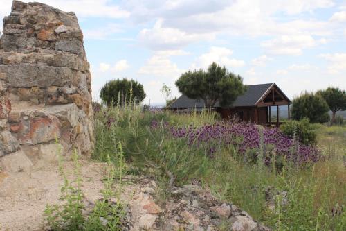 Finca el enebro