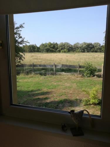 Sina, Pruchten (foto 3)
