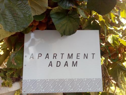 Apartment Adam in Bibinje