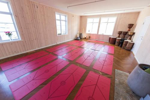 Catogården - Boutique Home & Activity Centre - image 3