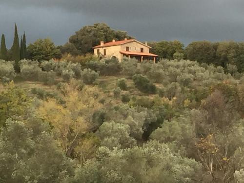  Agriturismo Campo al Crognolo, Sassofortino bei Lama