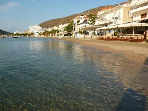 Διαμερισμα μια ανασα απο την θαλασσα!!