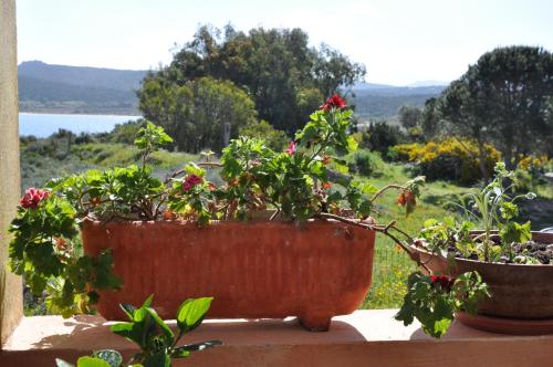 Hotel Le Dune - image 8