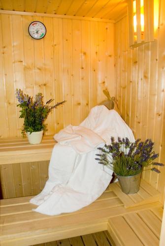 Sauna, La Erilla in Braojos