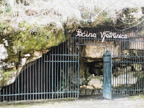 Apartments Joja - image 2