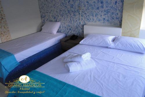 Grand Amadeus Hotel