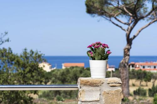 B&b Il sogno – Santa Maria di Castellabate, UT