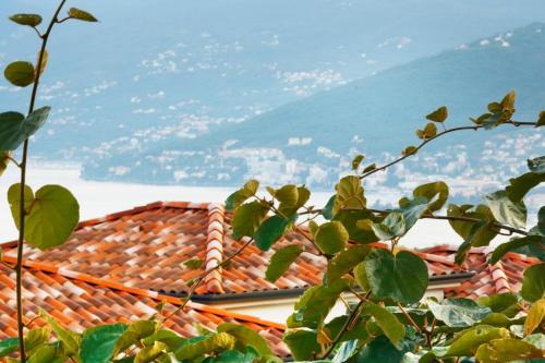 Kilátás, Va Kastav in Cikovici