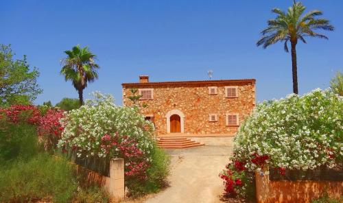 Son Mas, Campos (photo 2)