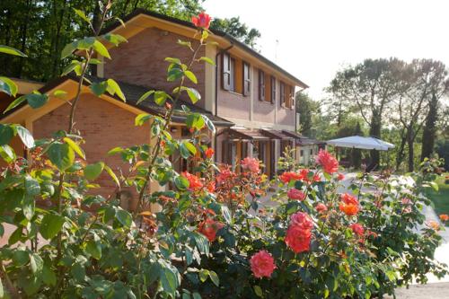 Agriturismo di Paterno 5
