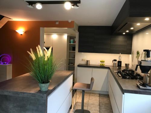 B&B New Largo – Nieuwpoort, AZ
