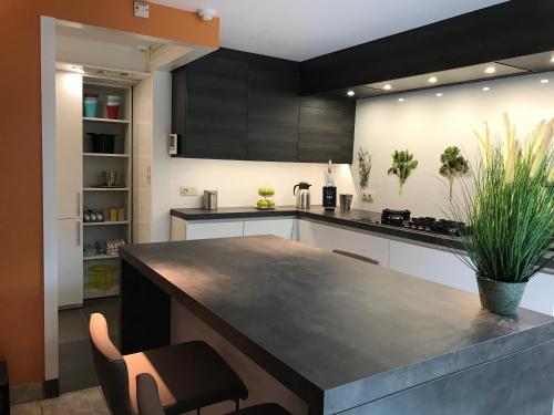 B&B New Largo – Nieuwpoort, AZ