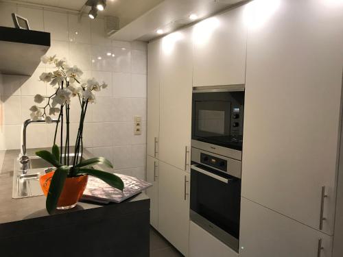 B&B New Largo – Nieuwpoort, AZ