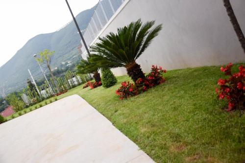 Mela & Cannella Appartament chambre d'hôte Solofra