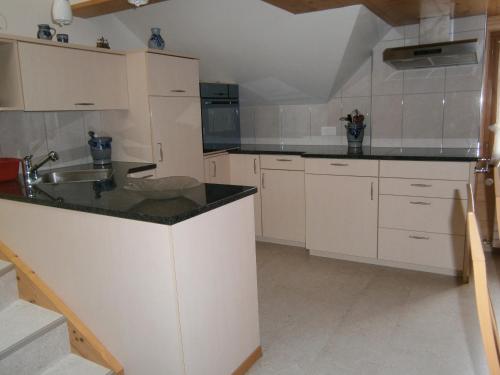 kuhinja, Ferienwohnung Brülisauer (Ferienwohnung Brulisauer) in Rüte