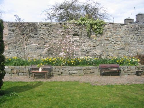 The Horseshoe Guesthouse - image 7