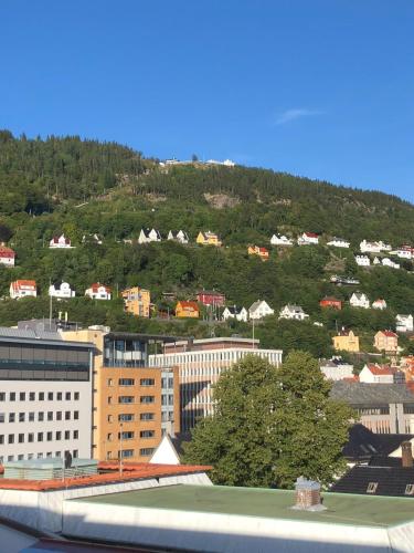 View, Magic Hotel Xhibition in Bergen