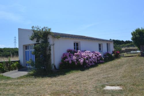גינה, CoRide in Quiberon