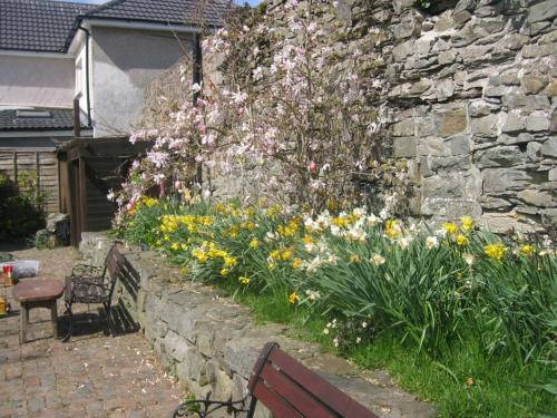 The Horseshoe Guesthouse - image 2