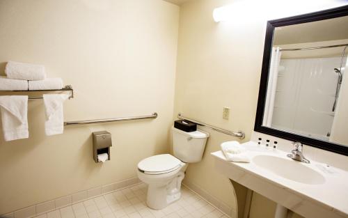 King Room with Roll-In Shower - Disability Access/Non Smoking