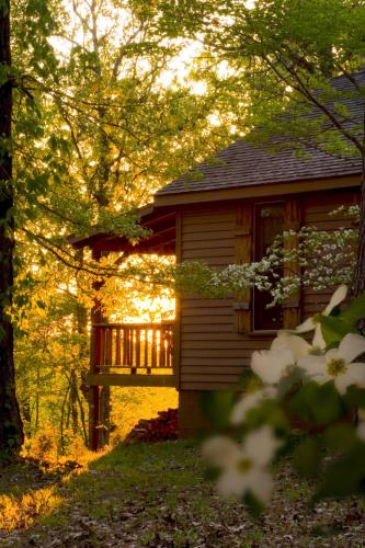Silver Ridge Resort - image 3
