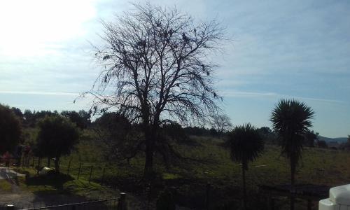 Dintorni, Hosteling Las Margaritas in Minas