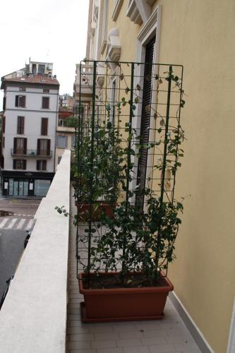 LE COLONNE MILANO 4