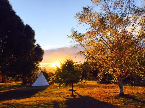 Exterior view, Mountain Yurt, Stunning Views, Near Wanaka in Lake Hawea