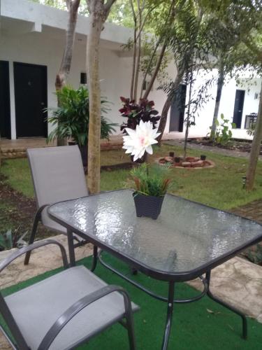 花園, 巴利亞多利德41號酒店 (Hotel 41 Valladolid) in 科洛諾斯