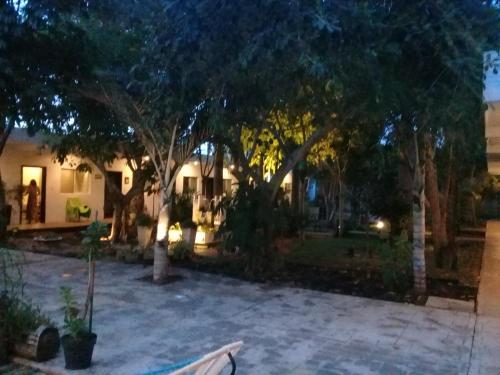 花園, 巴利亞多利德41號酒店 (Hotel 41 Valladolid) in 科洛諾斯
