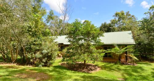叢林度假小屋和山林小屋
