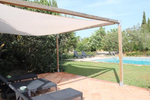 Finca Verde - image 11