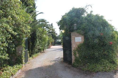  Finca Verde in Llucmajor