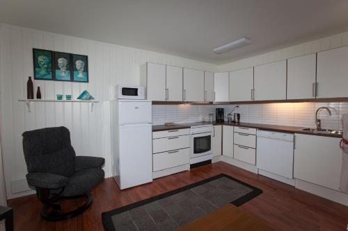 Konyha, Kristina Apartment & Alma House in Andenes